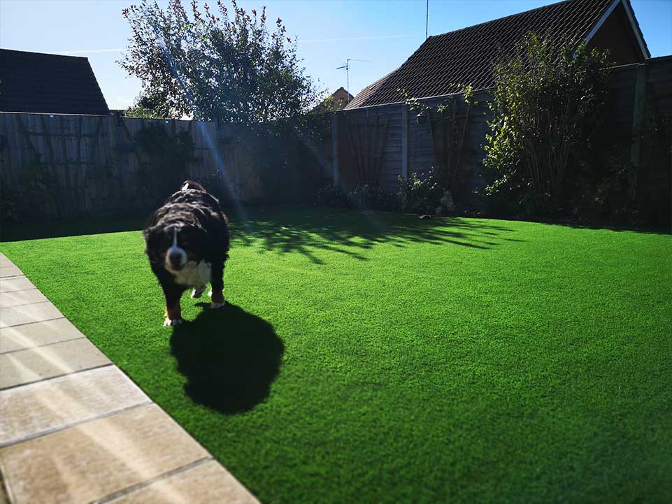 Creating a dog friendly garden with synthetic grass