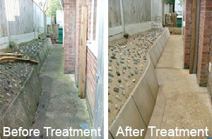 algoclear before and after