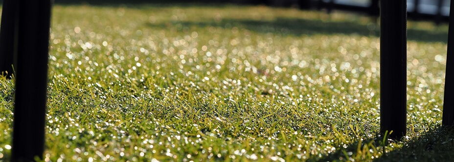 chair on artificial grass