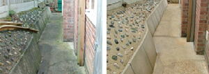 algoclear before and after