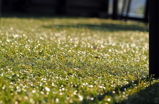 chair on artificial grass