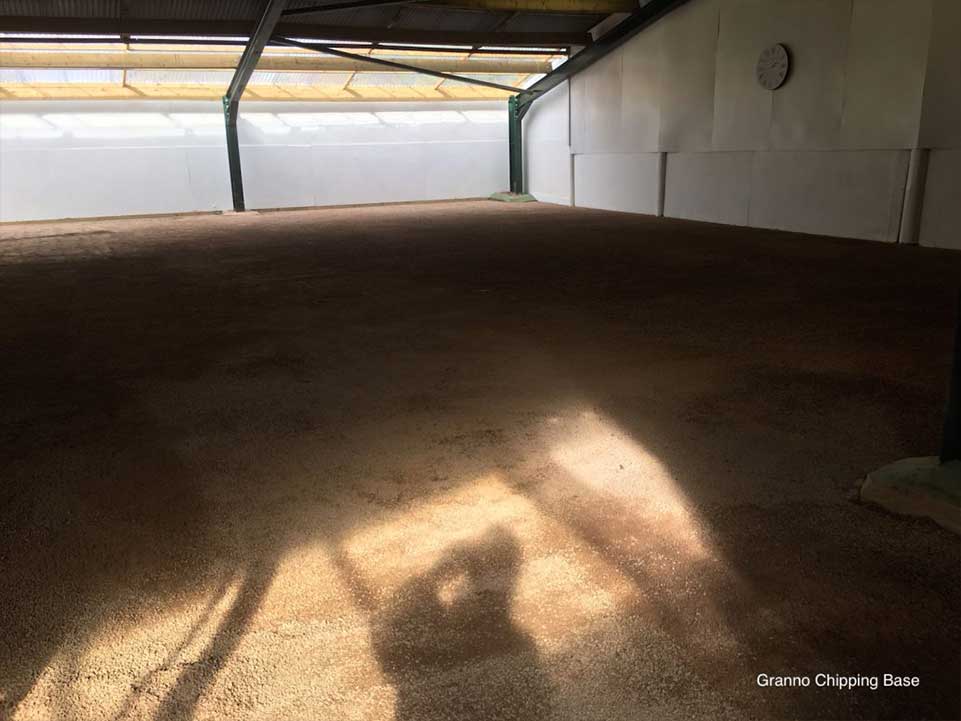 Dog agility area with artificial grass 4