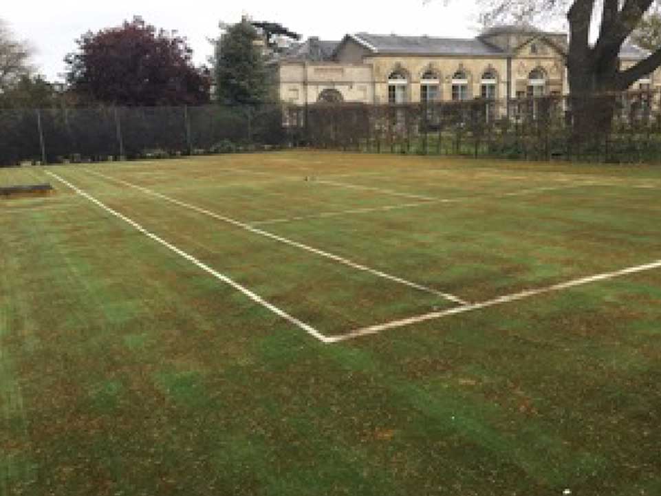 tinnis court with artificial grass5