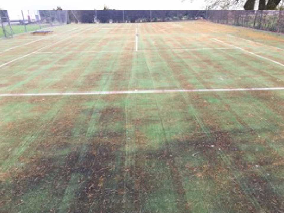 tinnis court with artificial grass6