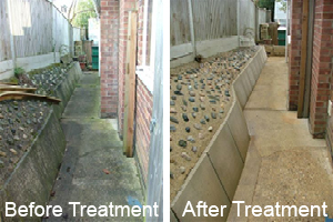 paving slabs before and after treatment