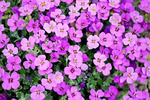 Artificial grass with flowers
